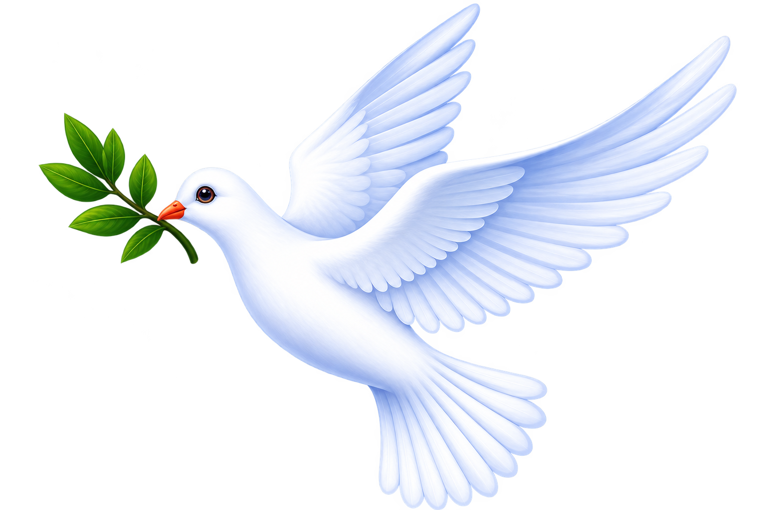 White dove with olive branch